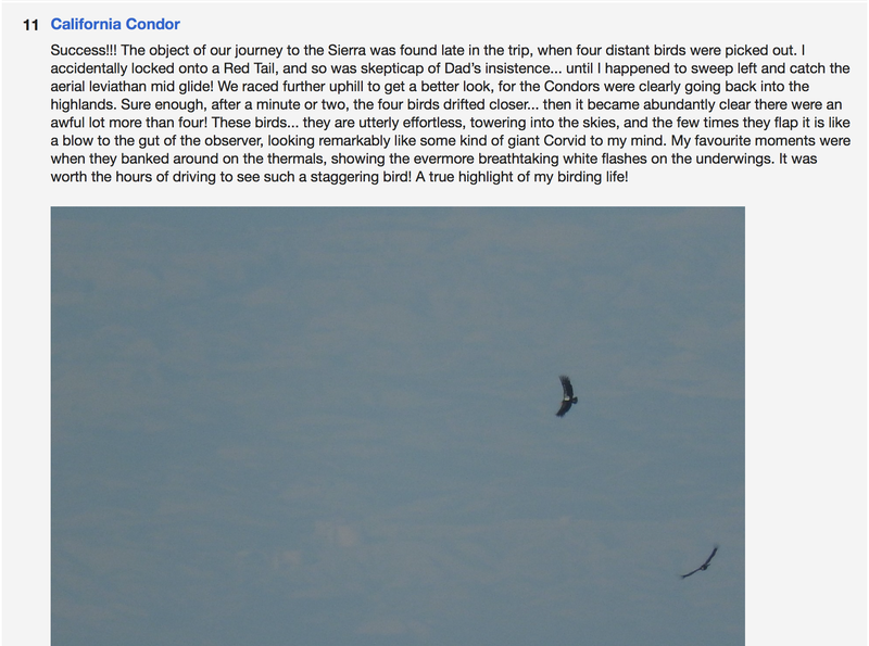 A screenshot from one of Vaughan’s eBird lists
